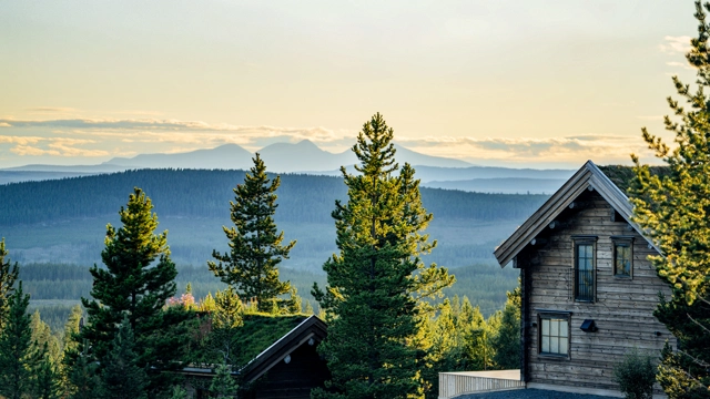 idrehimmel_sommar_2022_88_1.jpg.